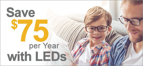 Save $75 per Year with LEDs